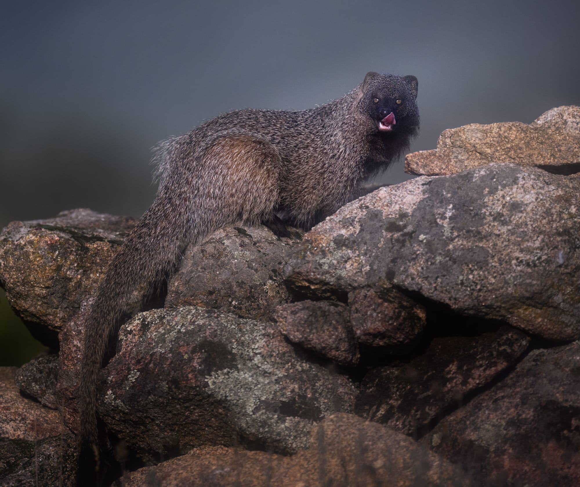 Images from Toledo Province