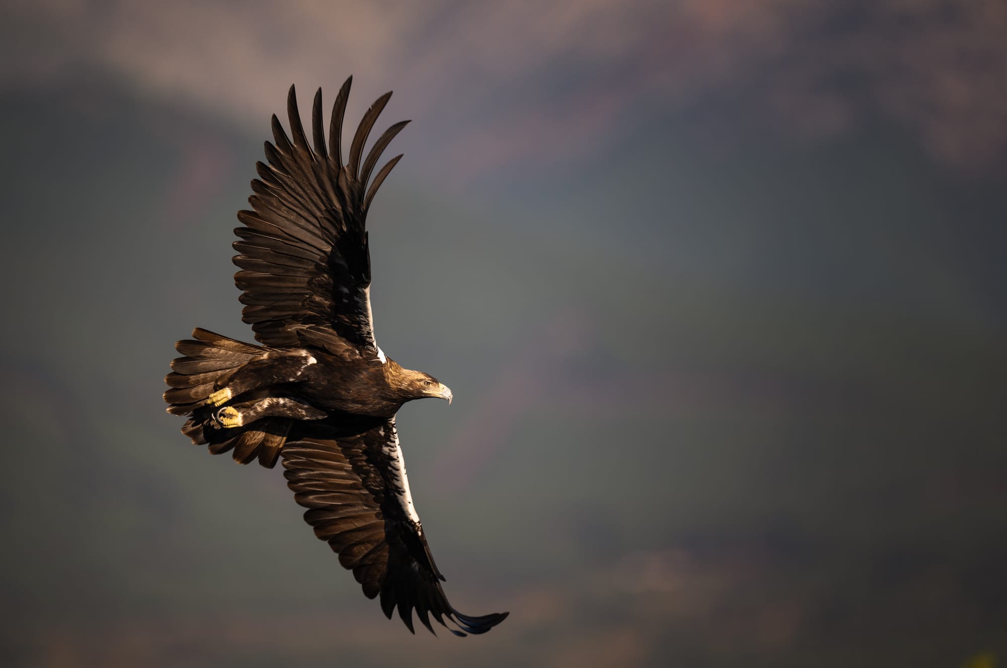 Images from Toledo Province