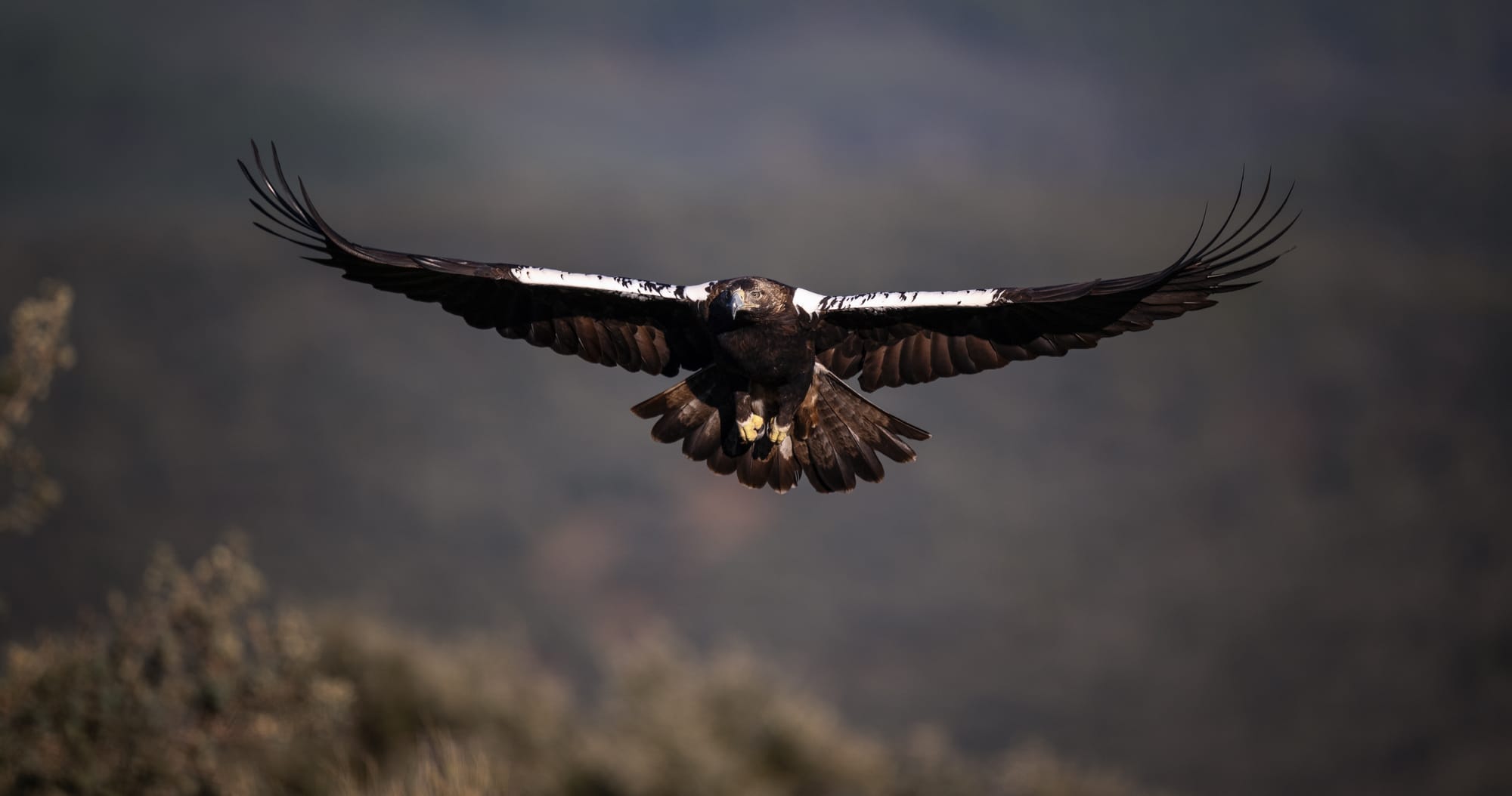 Images from Toledo Province