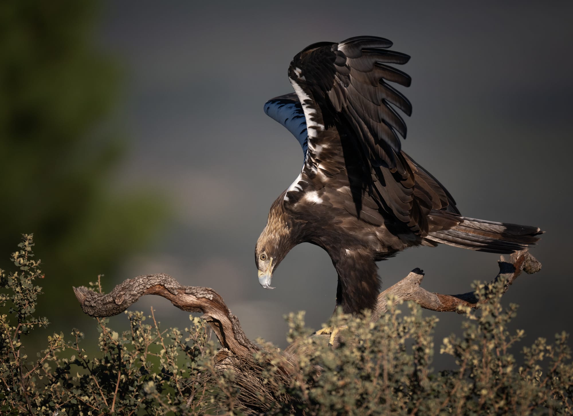 Images from Toledo Province