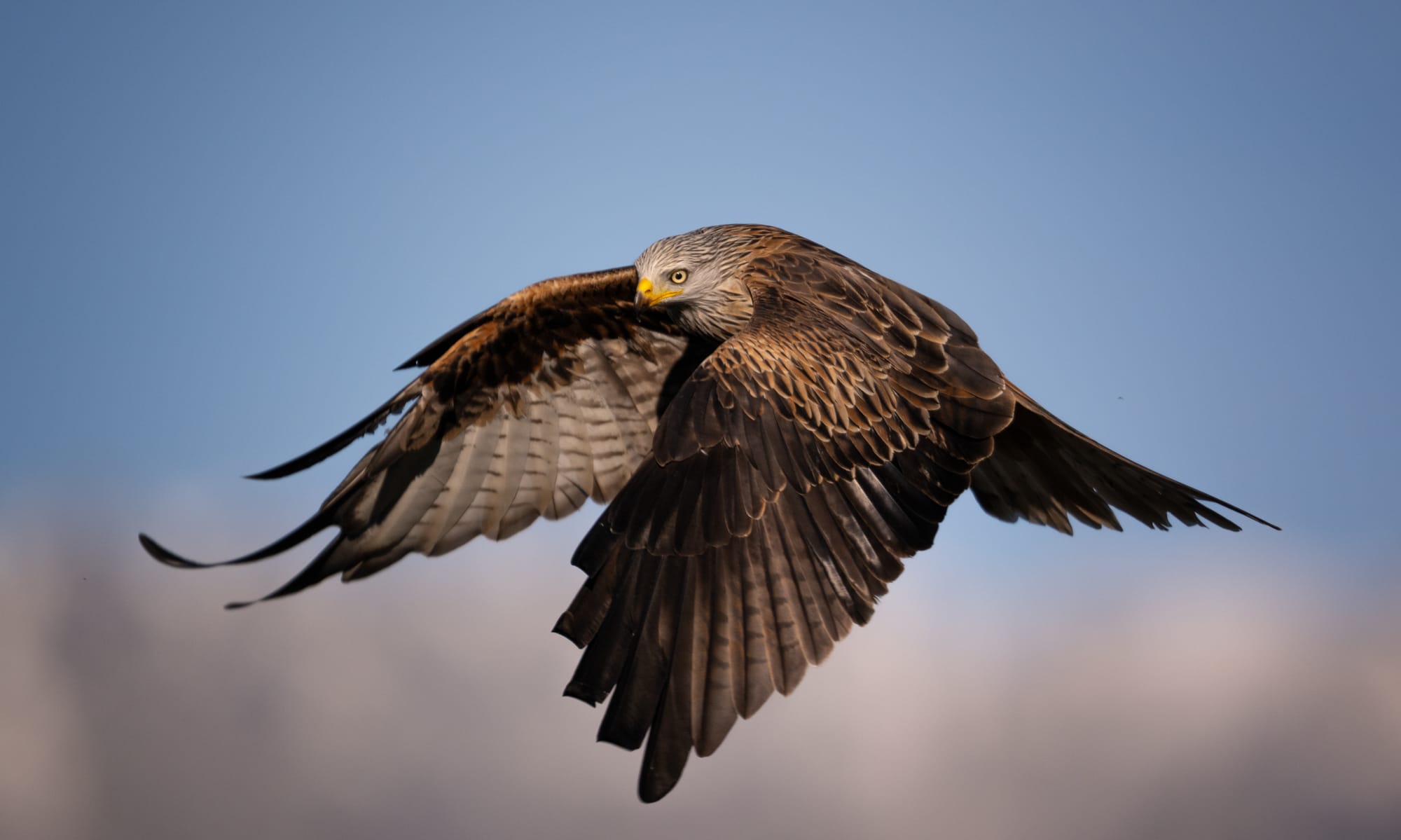 Images from Toledo Province