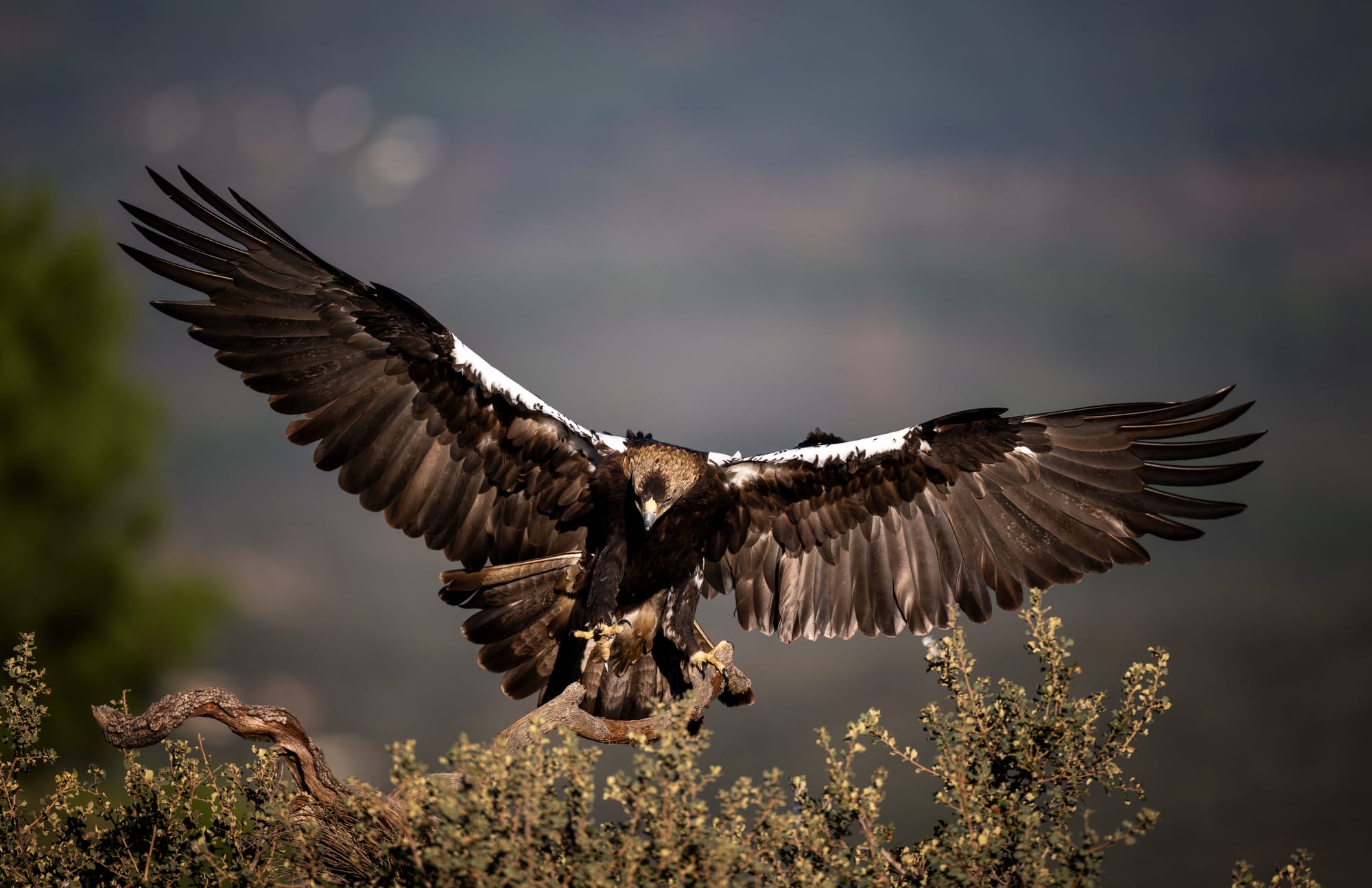 Images from Toledo Province