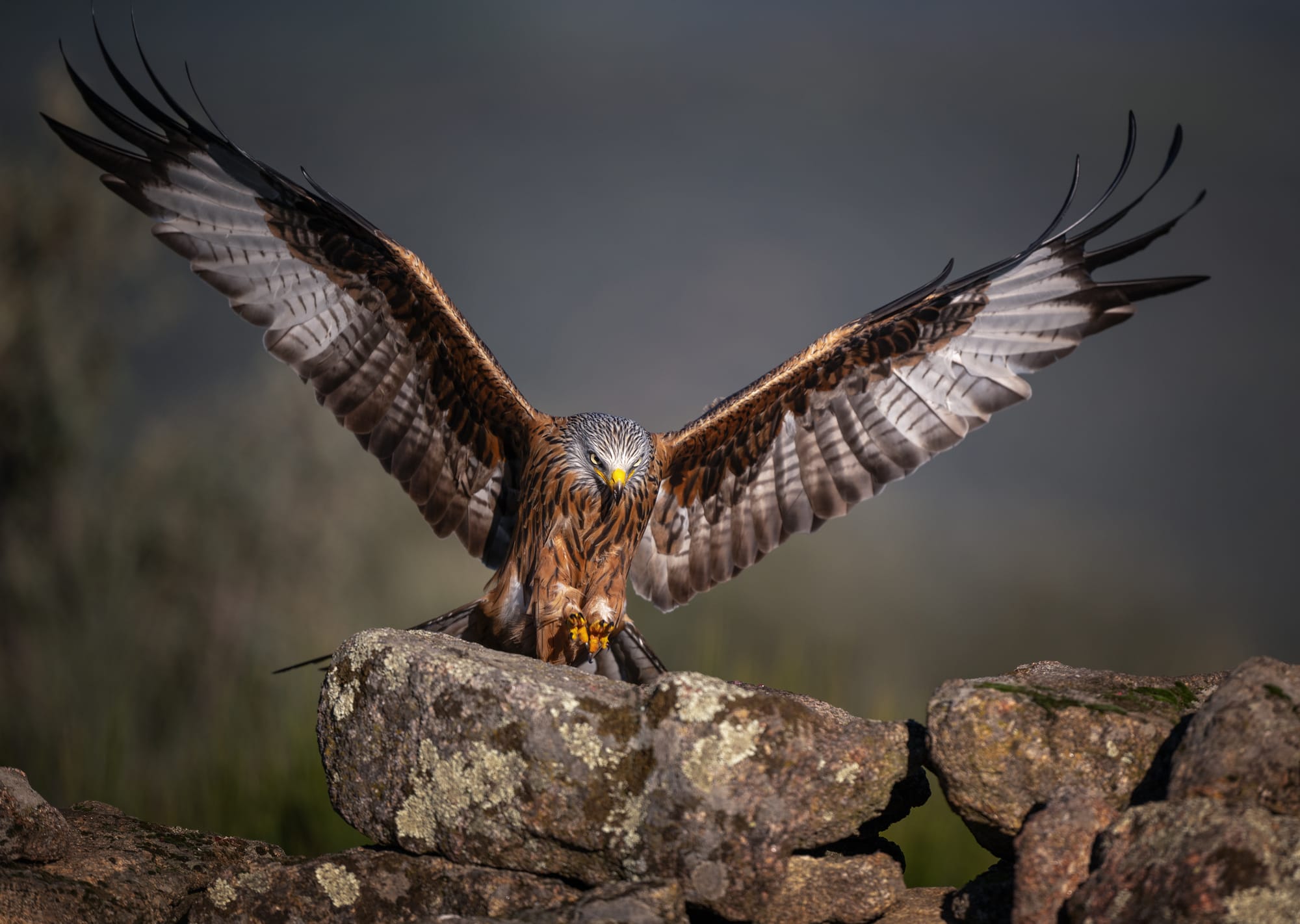 Images from Toledo Province