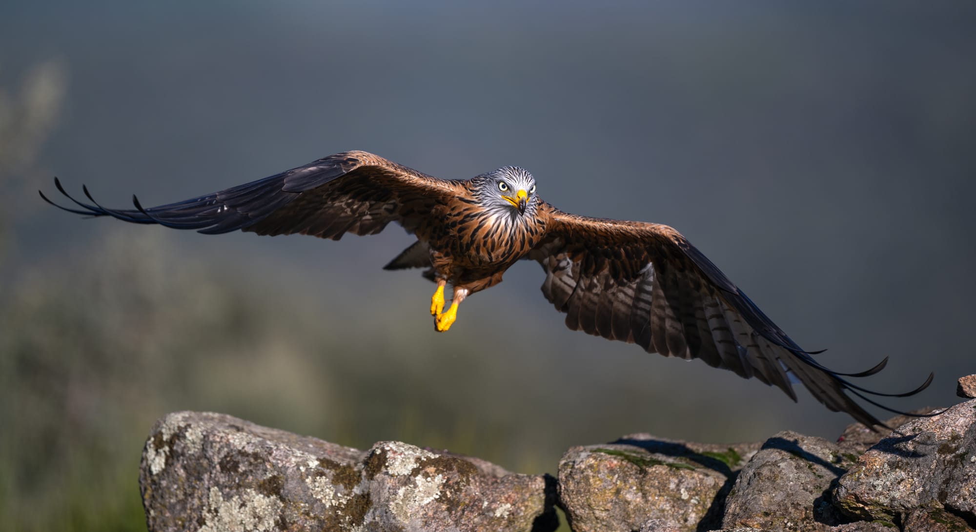 Images from Toledo Province