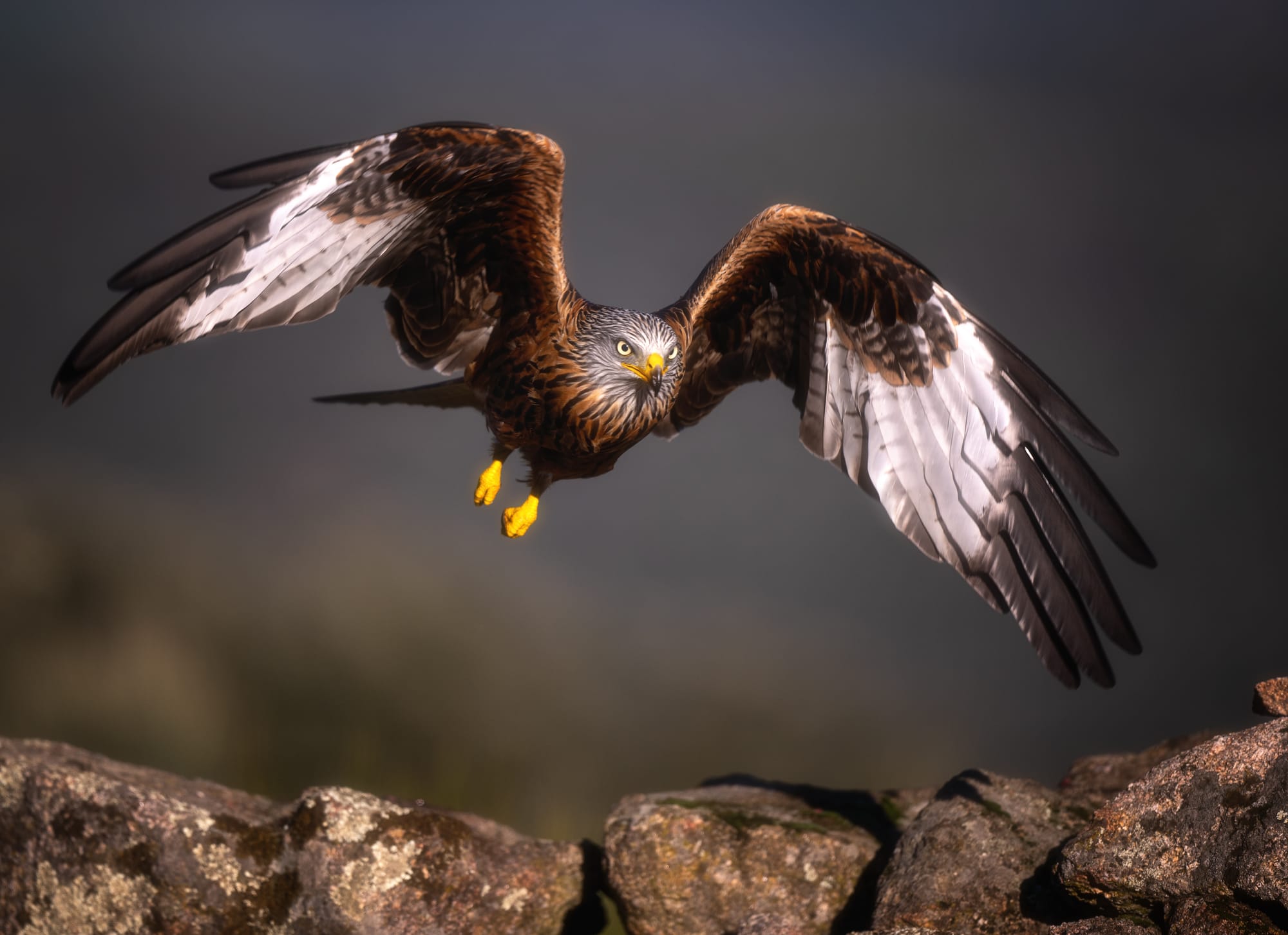 Images from Toledo Province