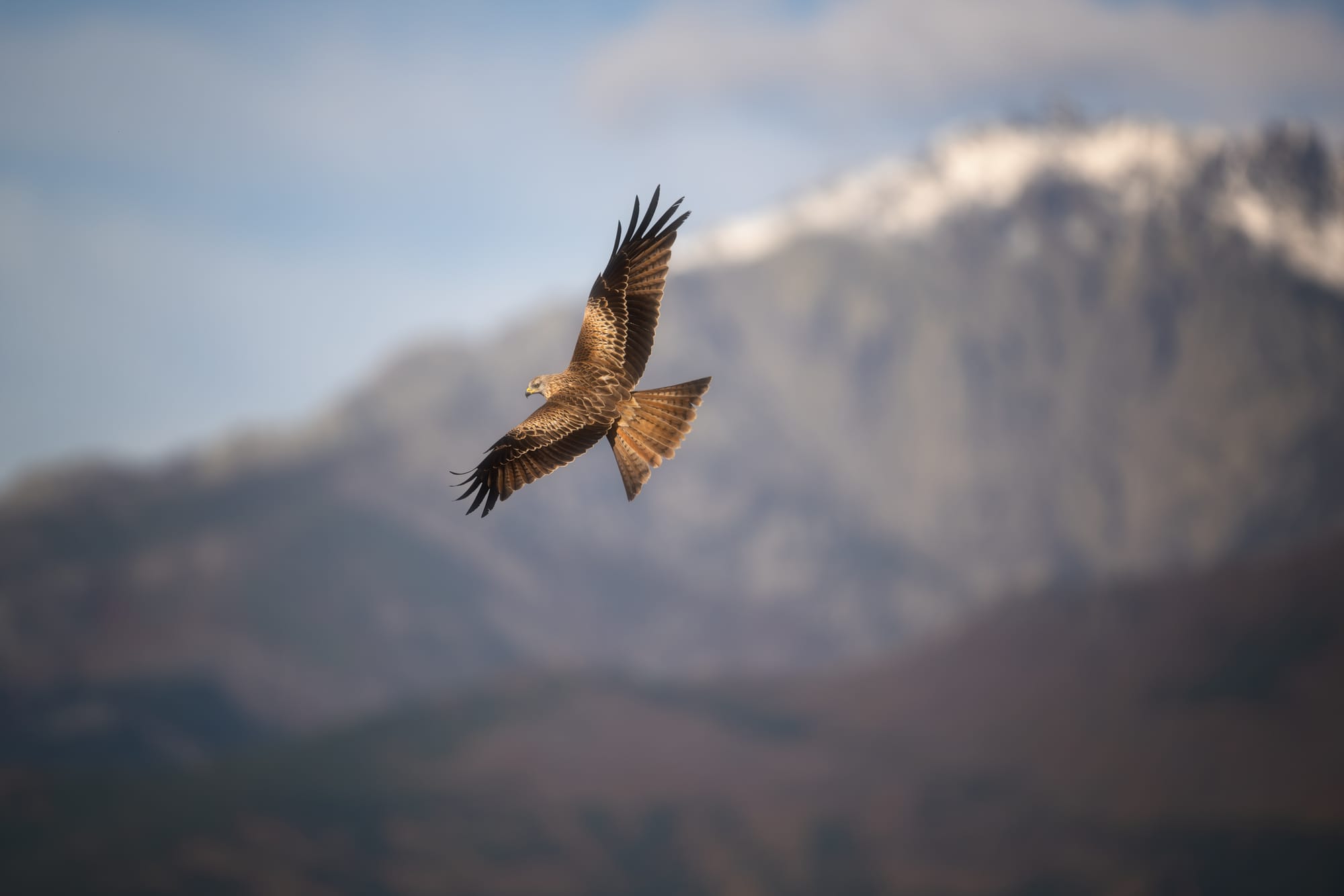 Images from Toledo Province