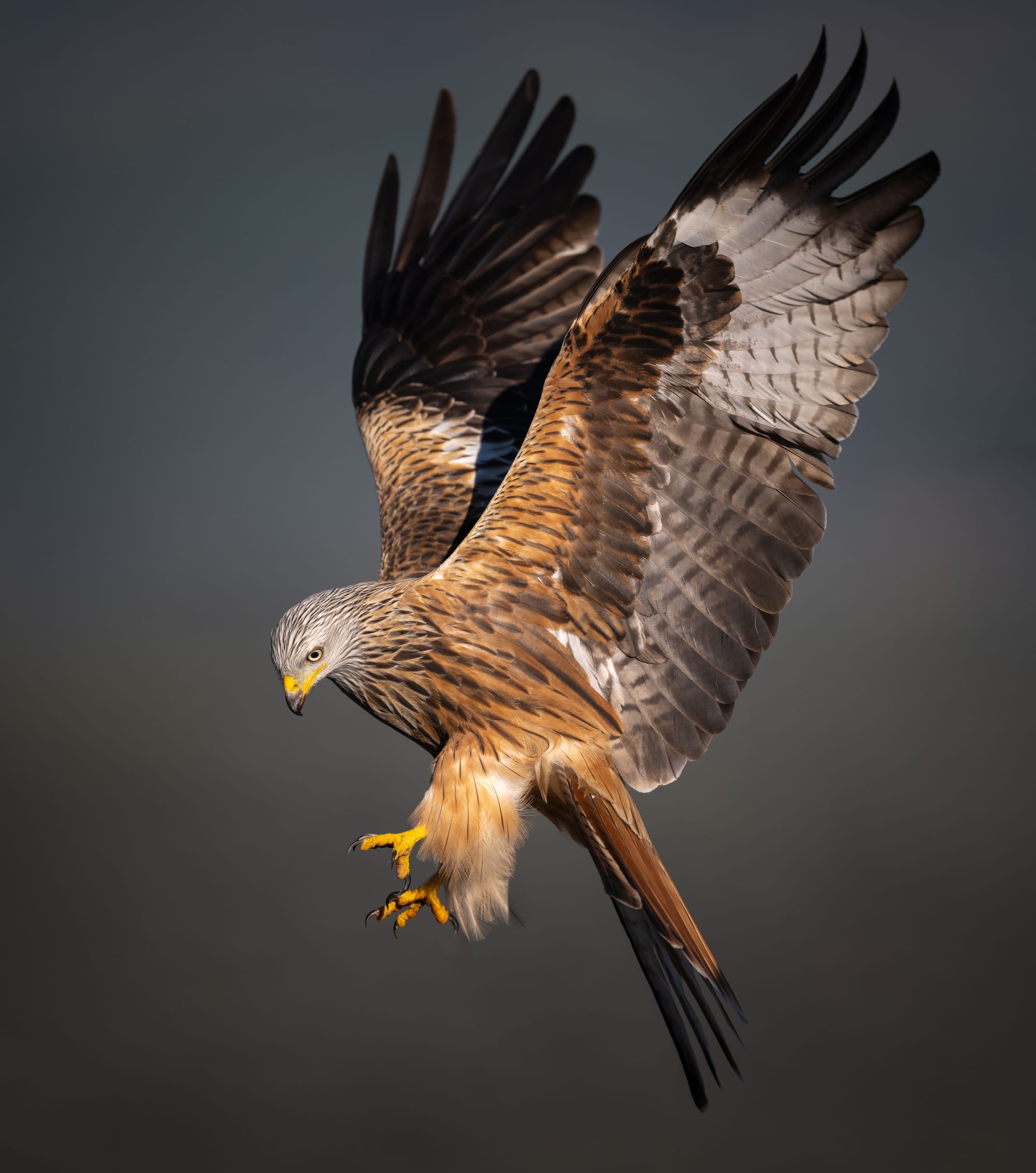 Images from Toledo Province