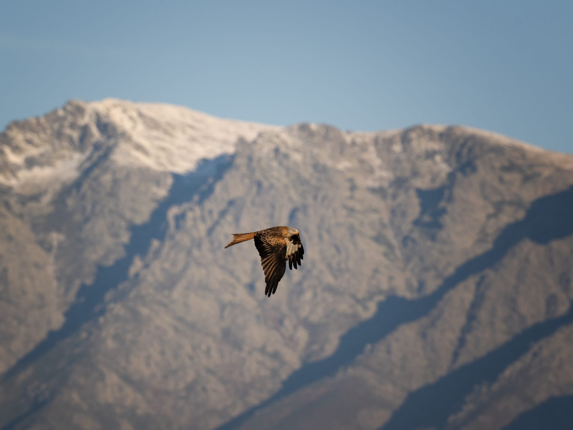 Images from Toledo Province