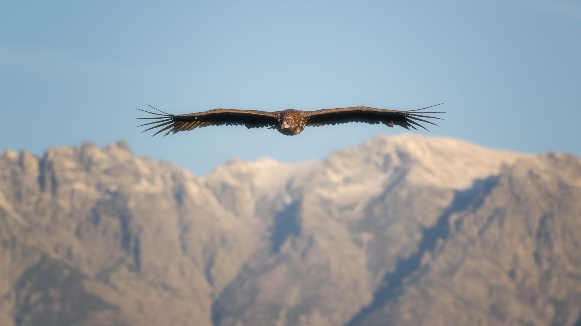 Images from Toledo Province