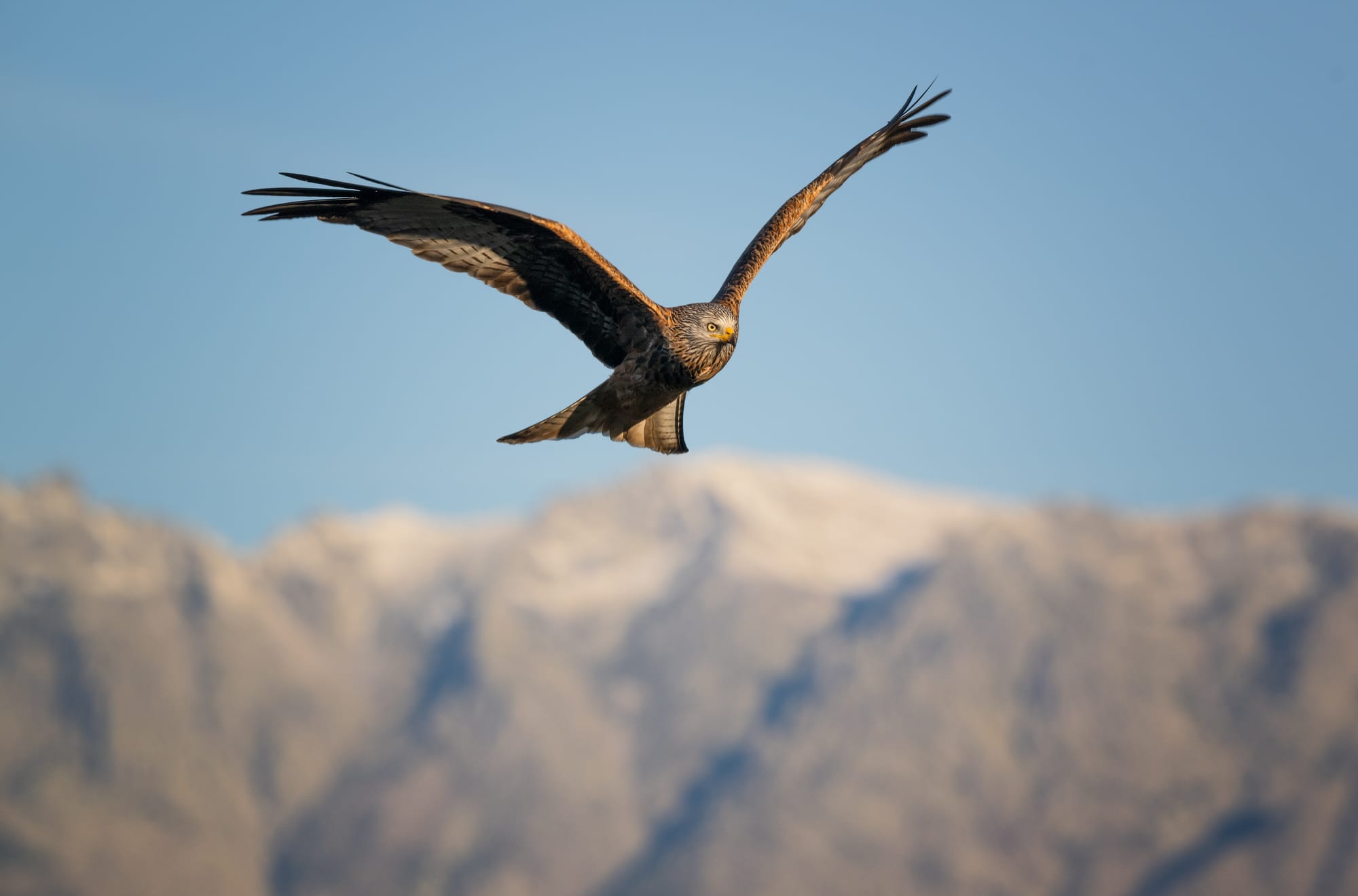 Images from Toledo Province