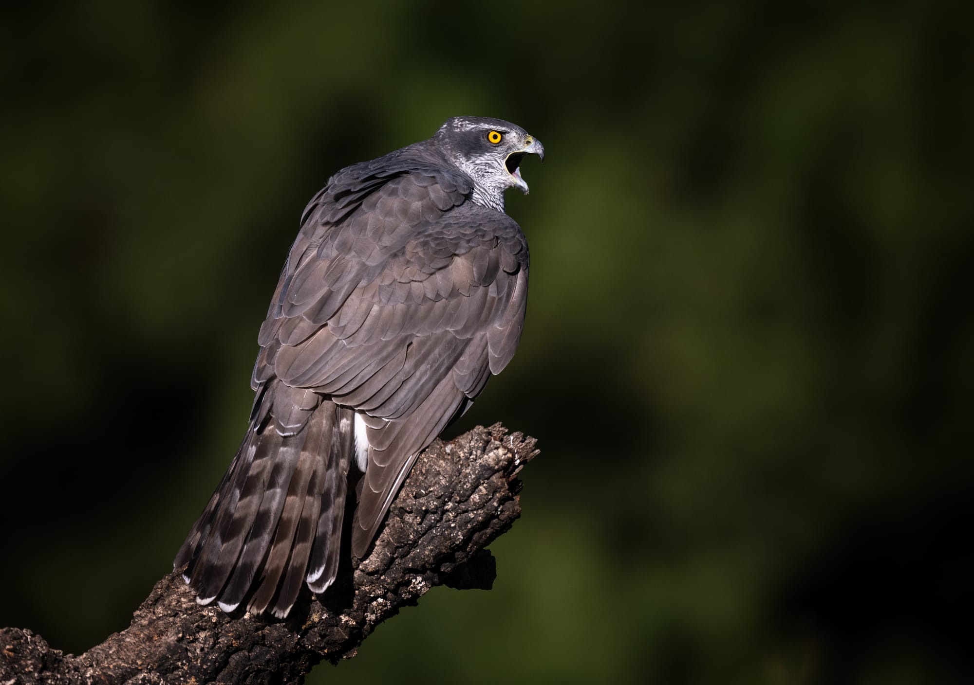 Images from Toledo Province