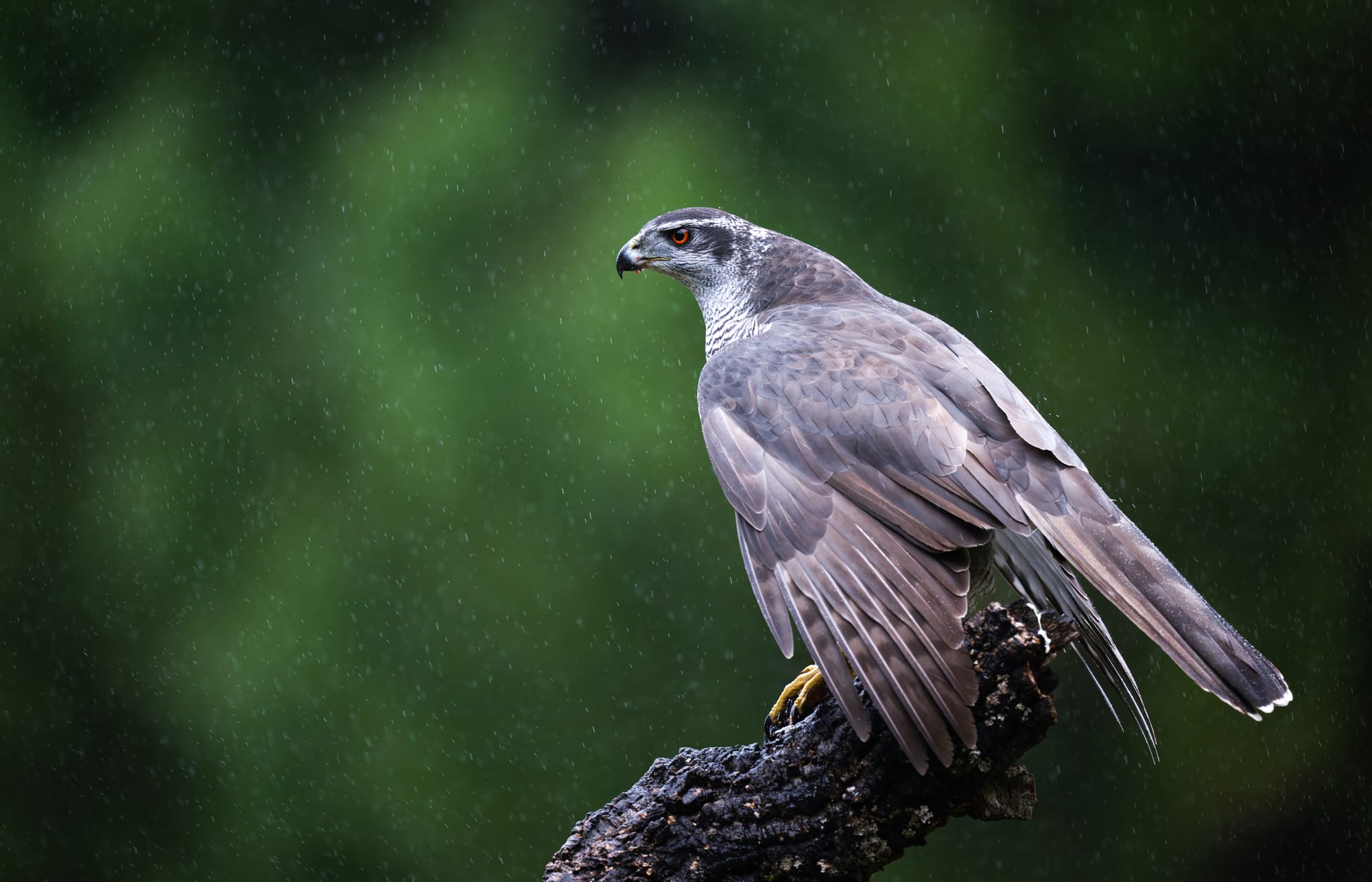 Images from Toledo Province