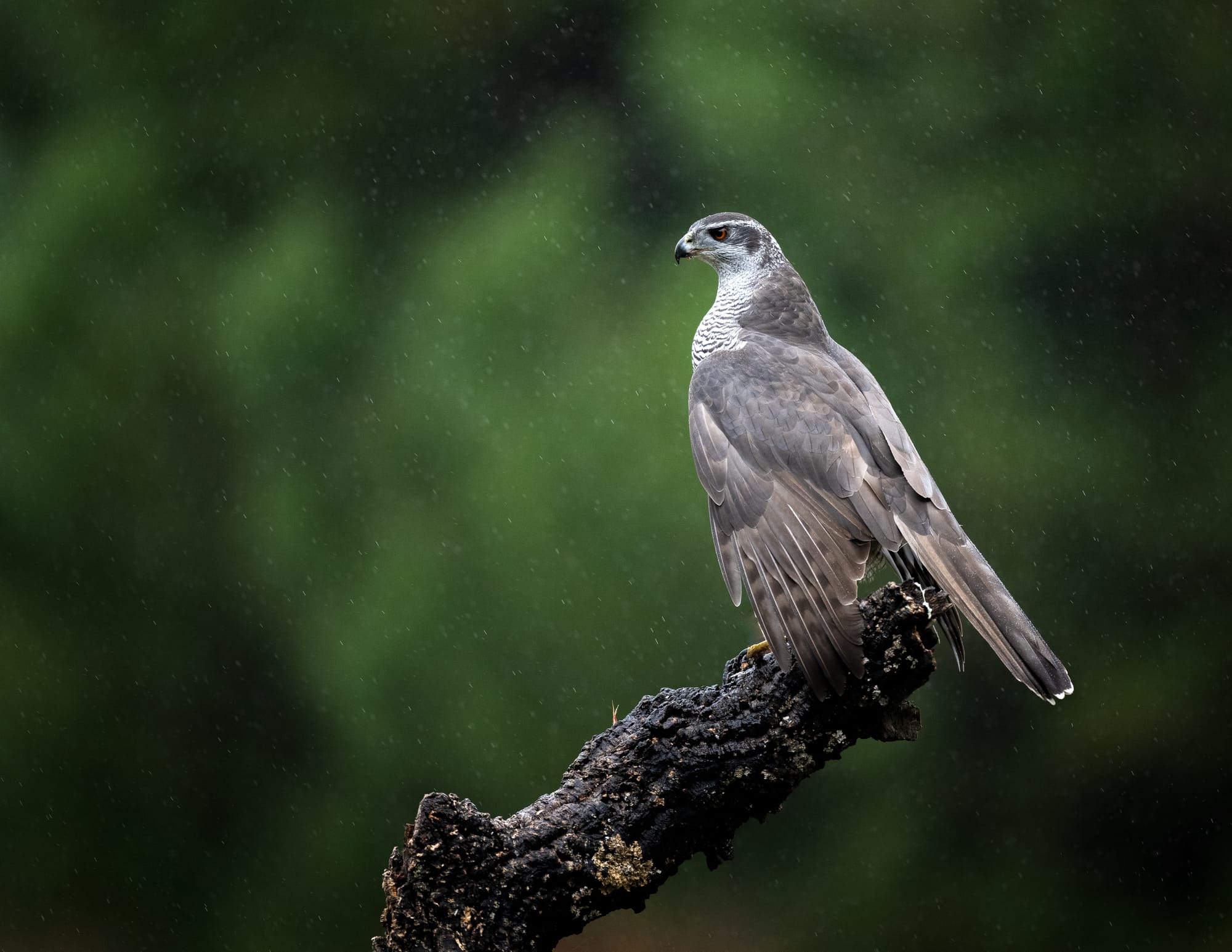 Images from Toledo Province