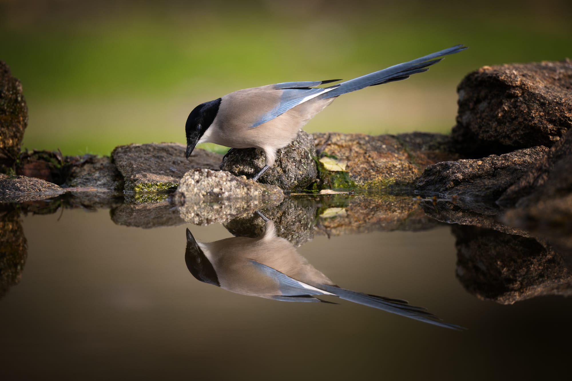 Images from Toledo Province
