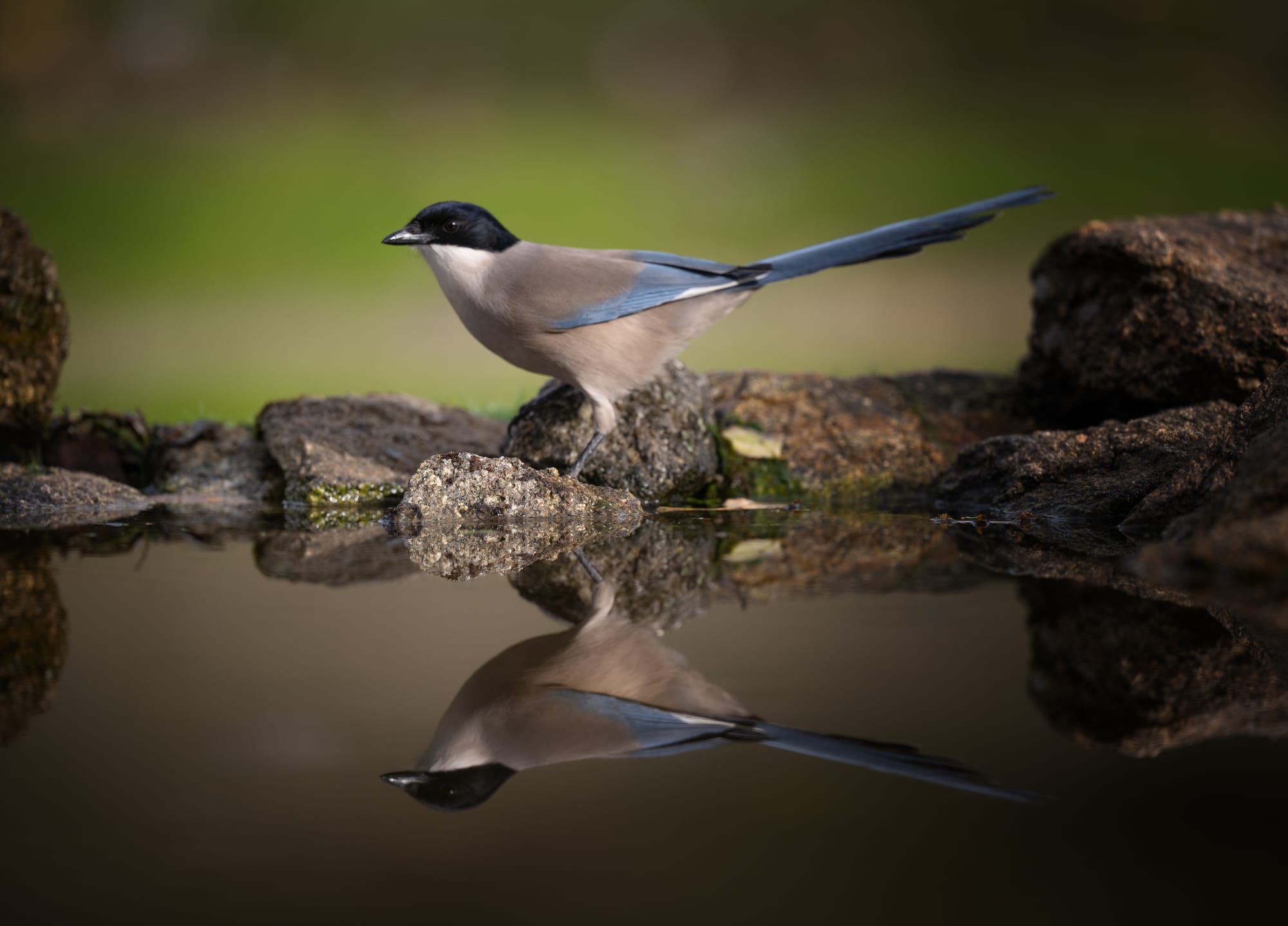 Images from Toledo Province