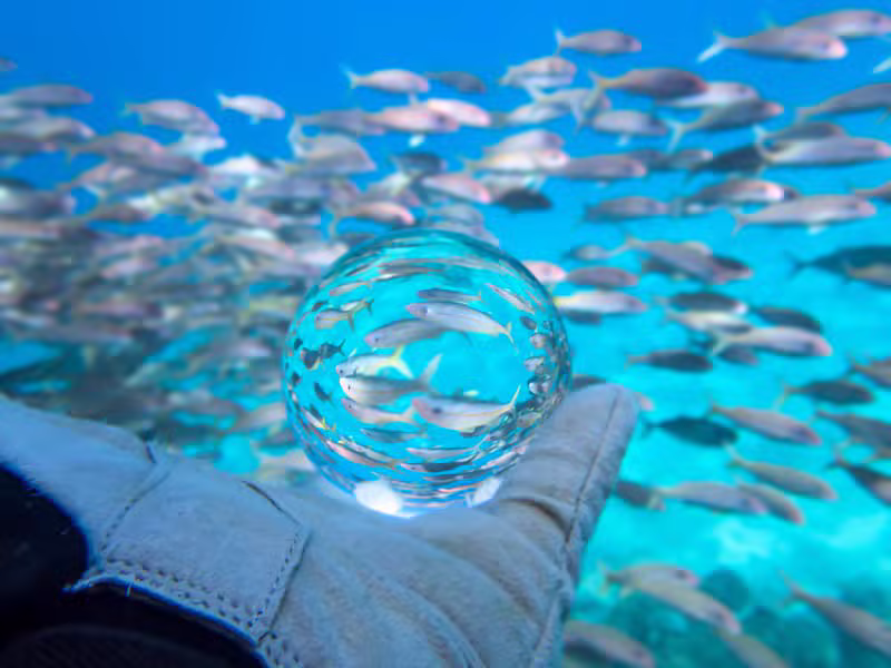 Deep-Sea Pearl Diving Experience