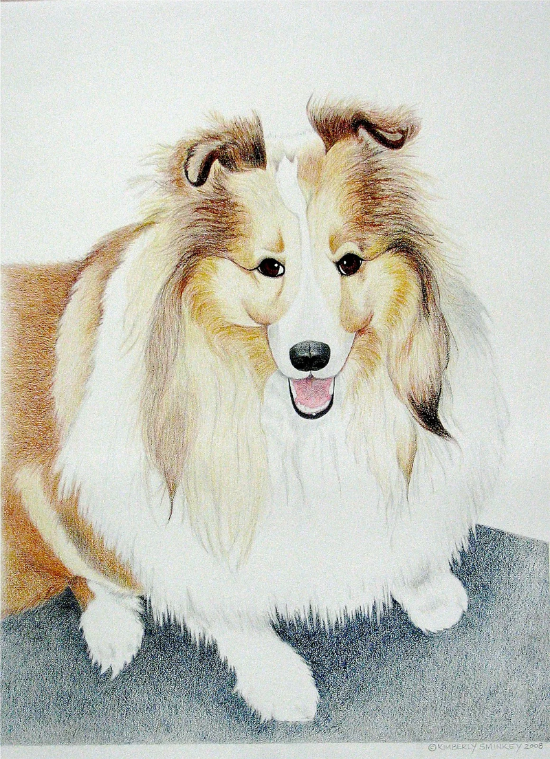PINECONE STUDIO - ORIGINAL PAINTINGS & DRAWINGS