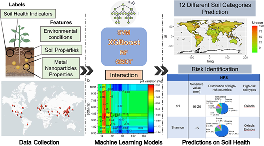Prediction of Metal Nanoparticle Interactions with Soil Properties: Machine Learning Insights into Soil Health Dynamics