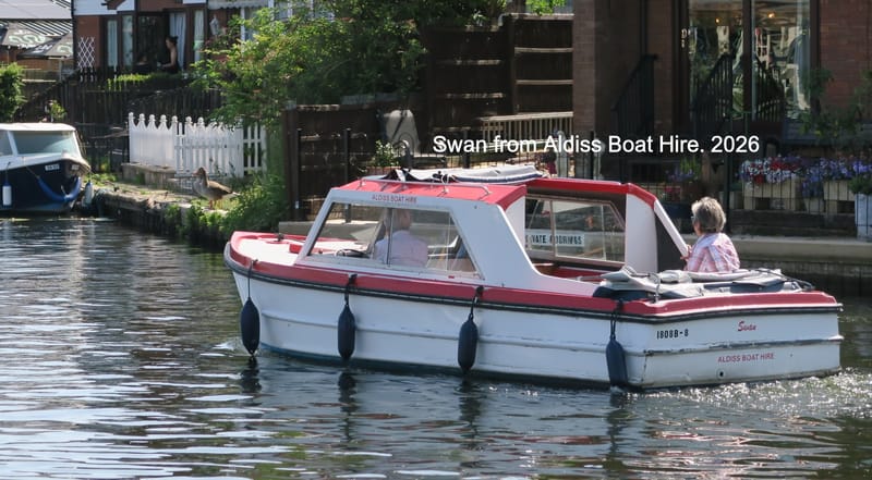 Swan from Aldiss Boat Hire. 2026