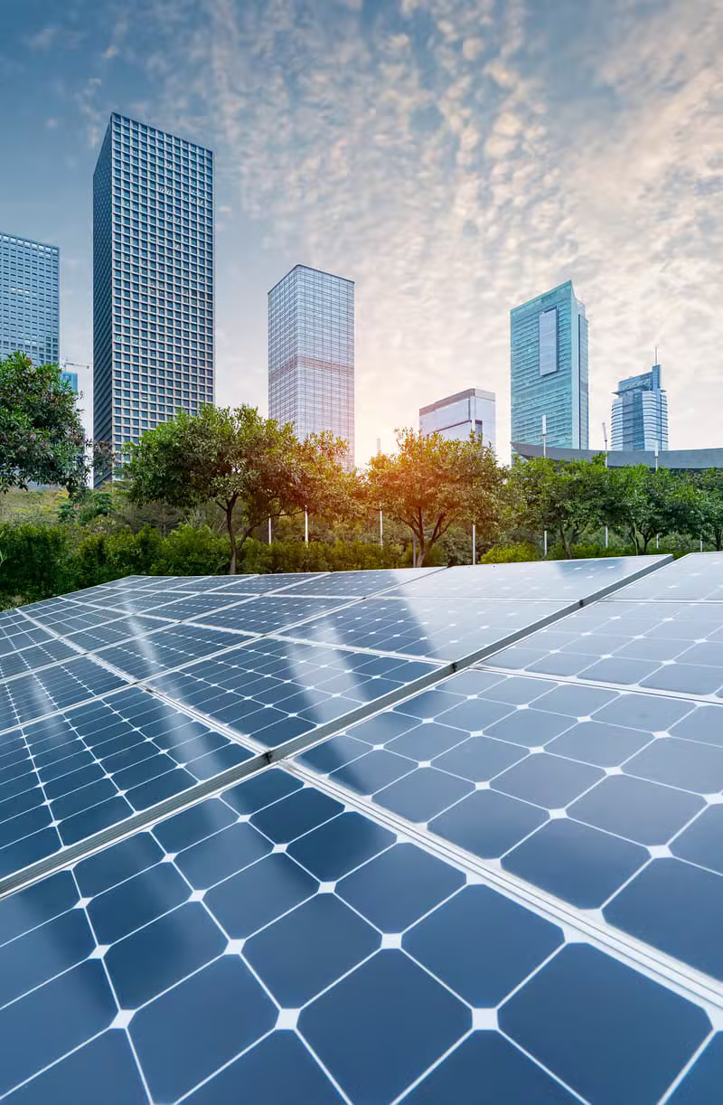 Modern sustainable green building