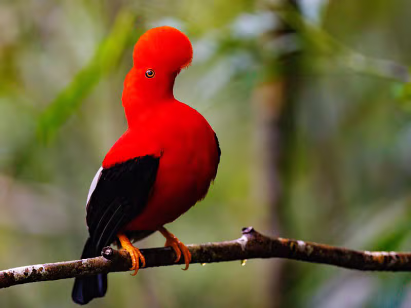 FUNDEQA Naturschutzbeitrag
