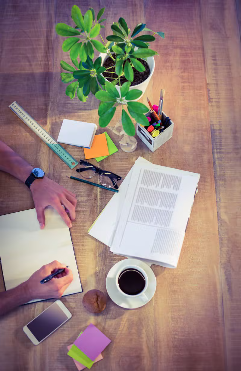 Book marketing professional planning a campaign