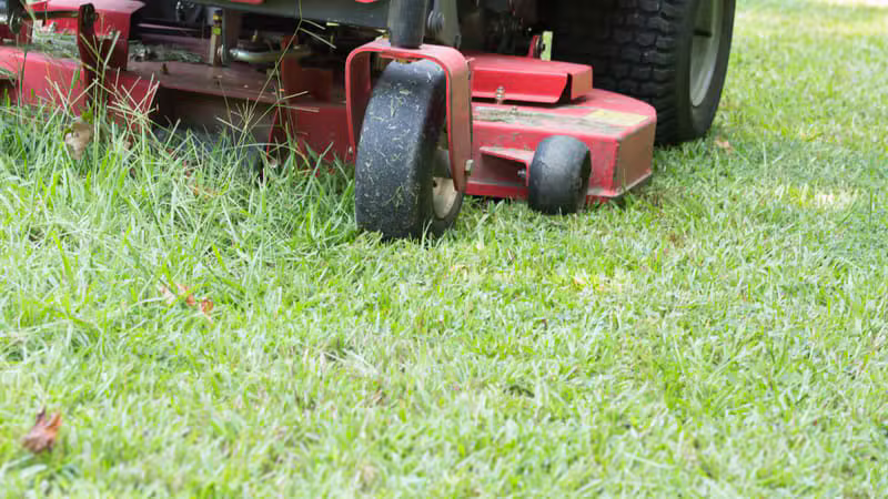 Routine Mowing