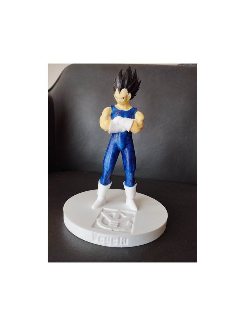Vegeta Statue