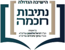 ישיבת נתיבות אביעזר (וולפסון)