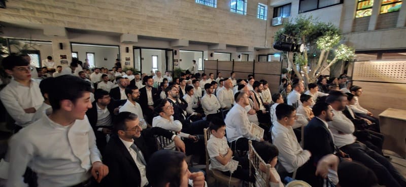 תמונה 8