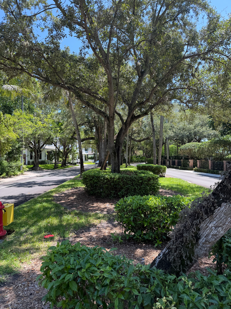 Rio Vista Loop 