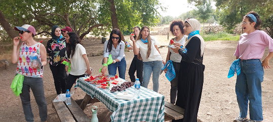 קוד השופט