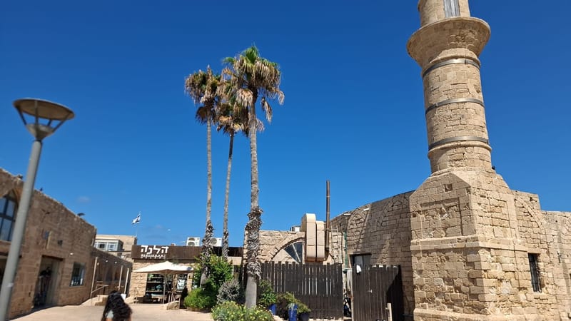 נמל קיסריה ארמונות, מקדשים, נימפאונים וים כחול אחד!  
