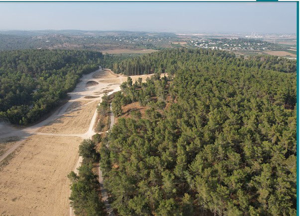 בין בירת הנצח לבירת חיי הלילה, פועמת הריאה הירוקה של גוש דן. בשבילי היער ופינות הפיקניק המוצלות רקום  סיפור החידה שלנו.
