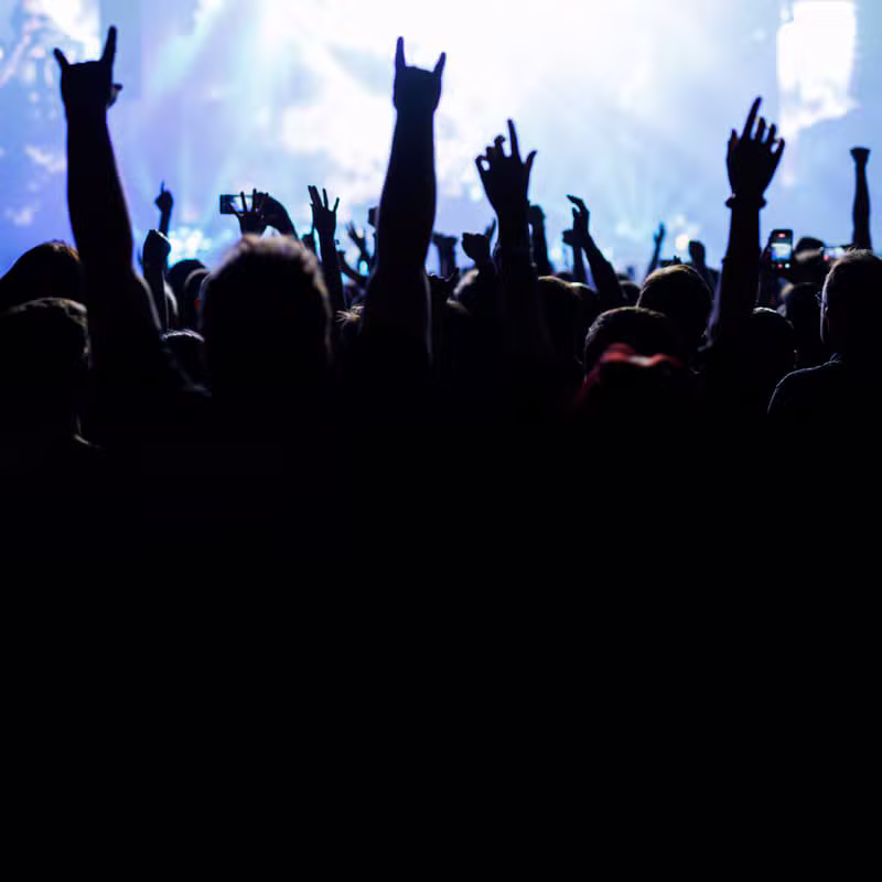 Fans cheering at a live music event