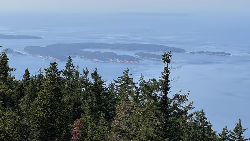 Orcas swimming near island