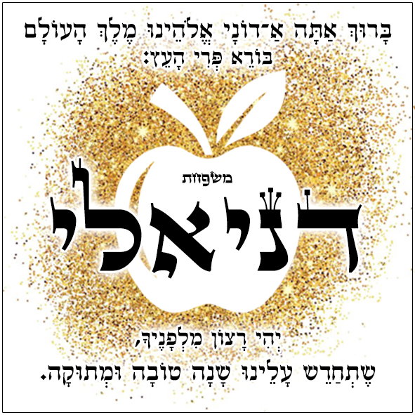 עיצוב 6