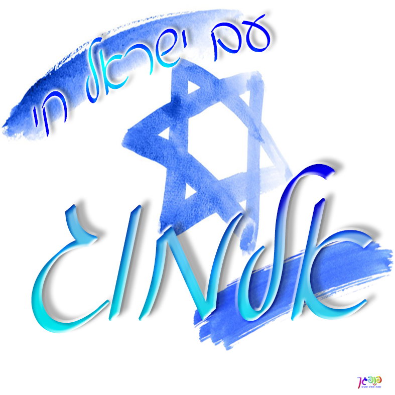 עיצוב 5