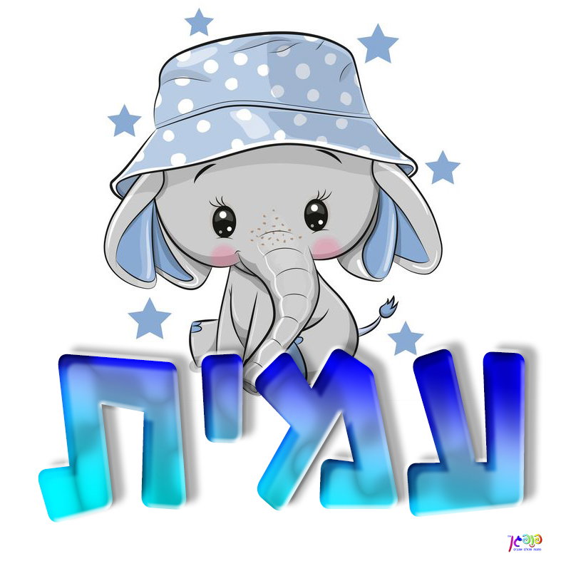 עיצוב 11