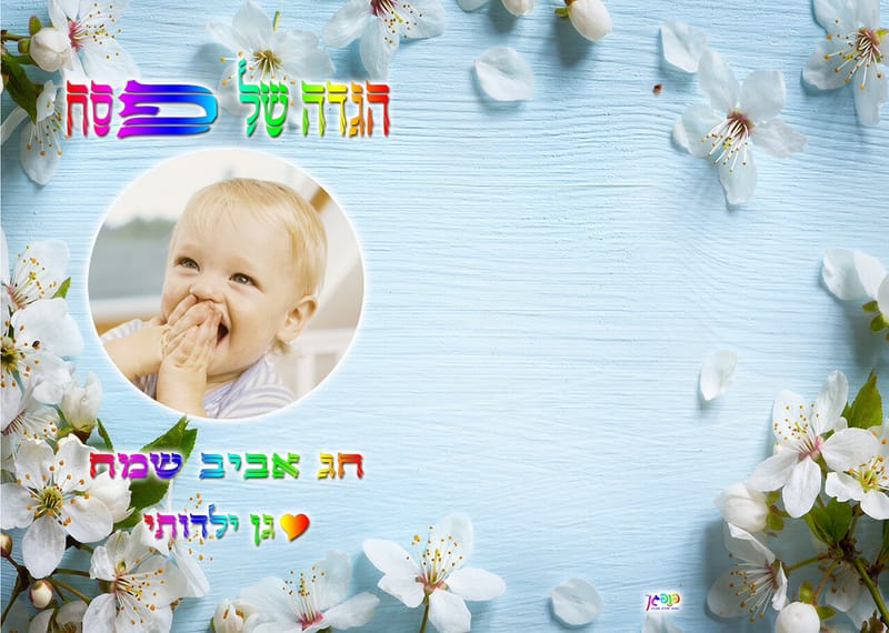 עיצוב 7