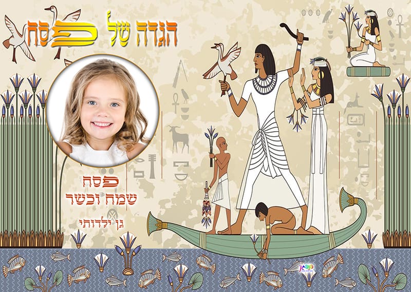עיצוב 16