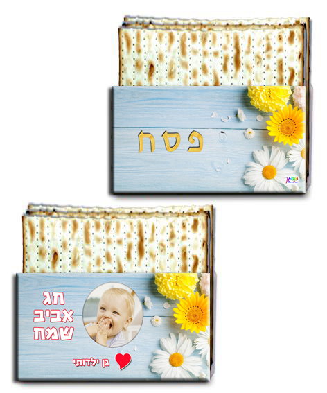 עיצוב 13