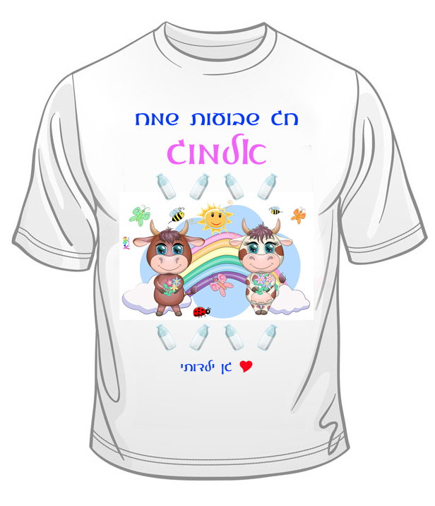 עיצוב 13