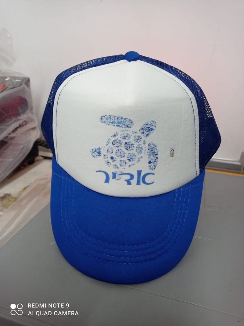 פרויקט