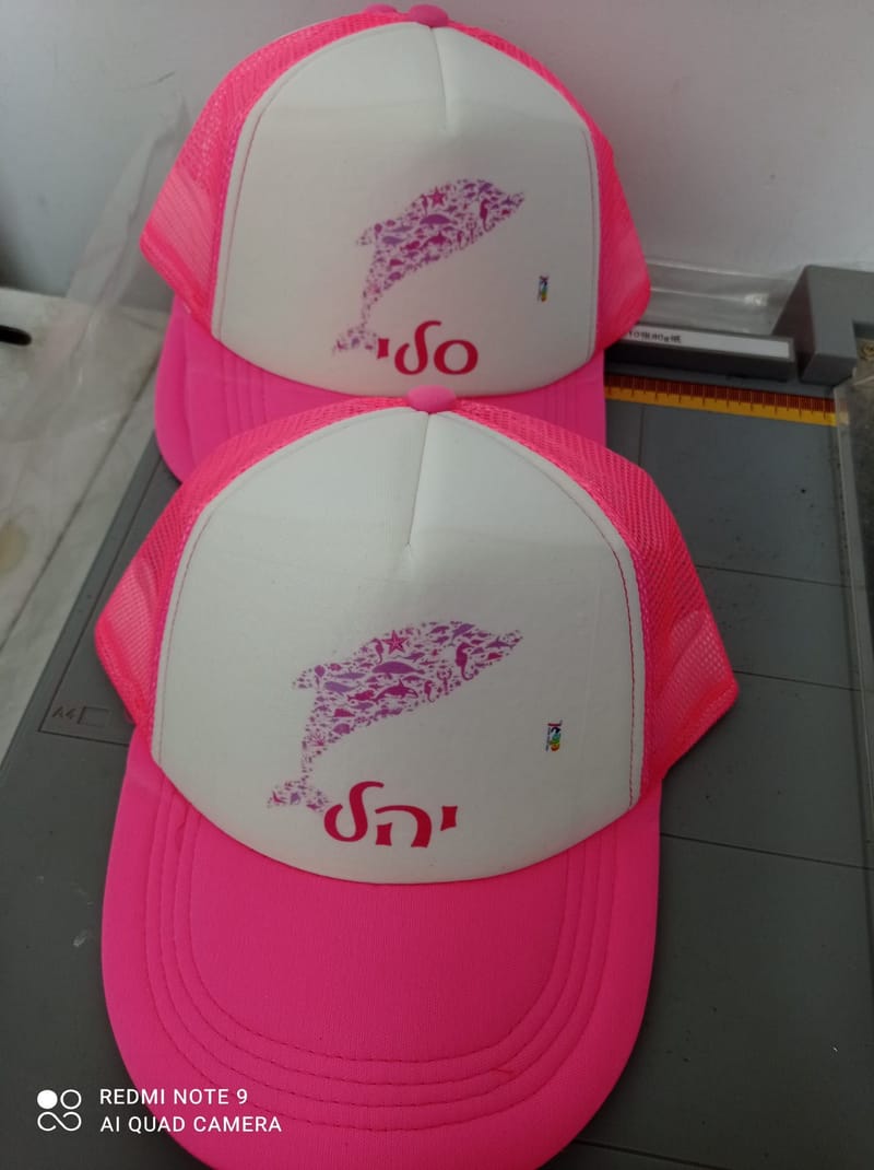 פרויקט