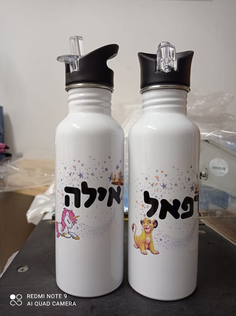 פרויקט