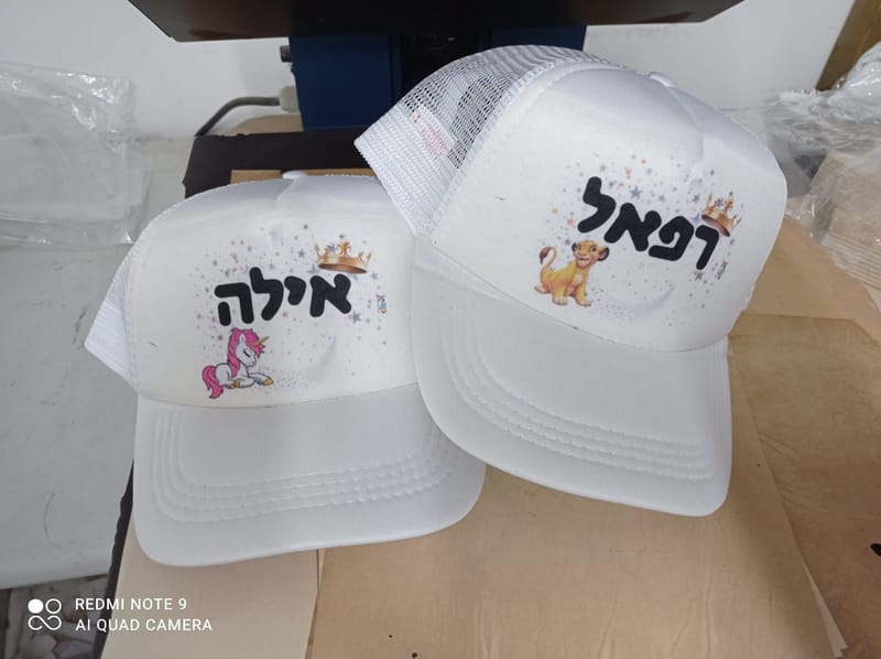 פרויקט