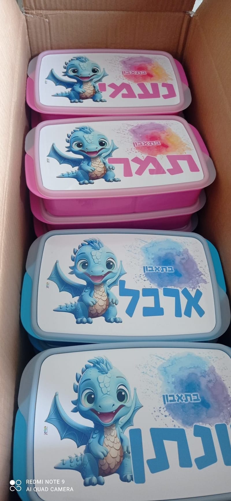 פרויקט