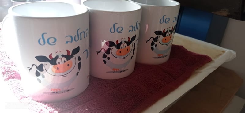 פרויקט