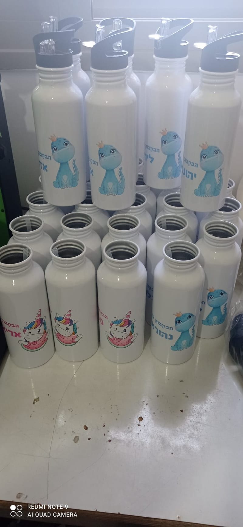 פרויקט